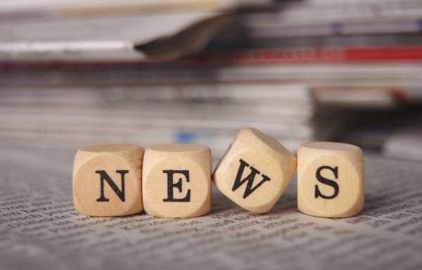 Le Parisien: заморозки нанесли серьезный ущерб виноградникам в Шампани