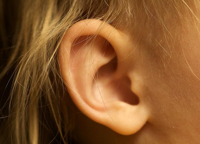 Учёные опровергли теорию о работе пространственного слуха человека